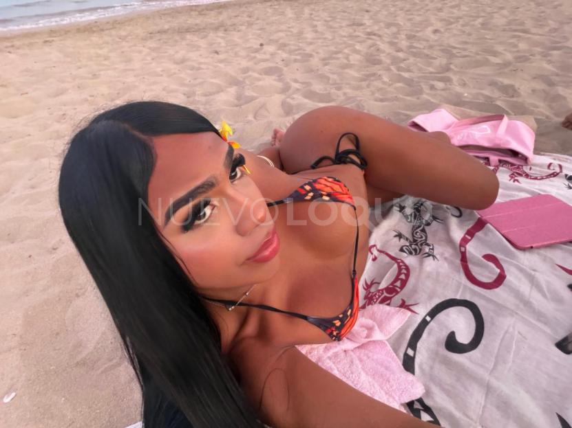 NuevoLoquo4