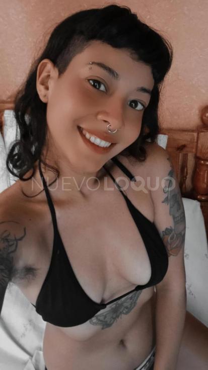 NuevoLoquo3
