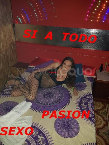  SOY DANIELA TRANS AGRADABLE Y APASIONADA LLAMAME
