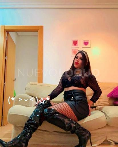 NuevoLoquo3