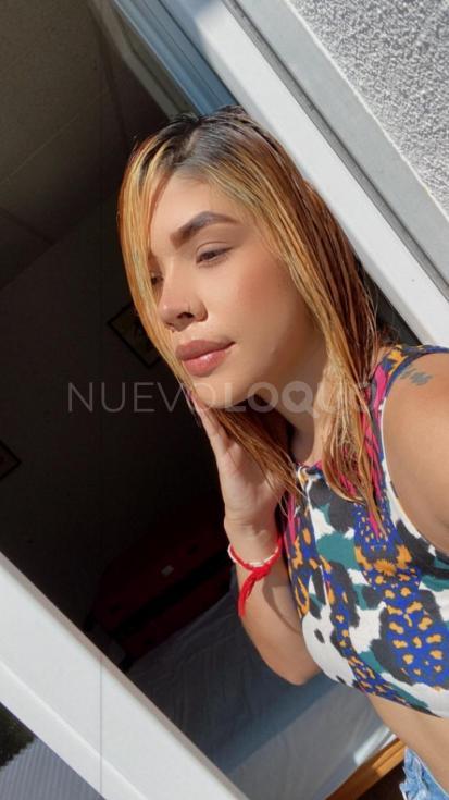 NuevoLoquo4