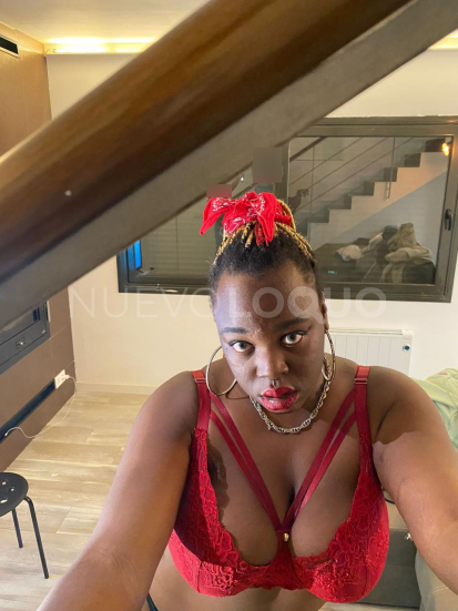 NuevoLoquo3