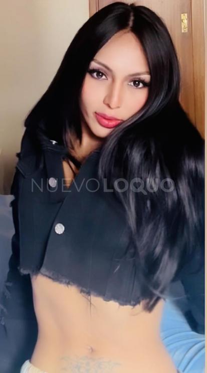 NuevoLoquo5