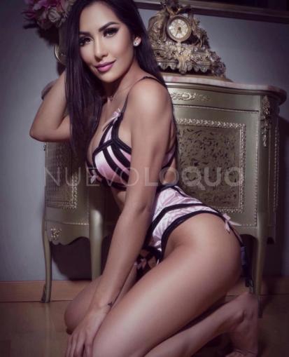 NuevoLoquo2