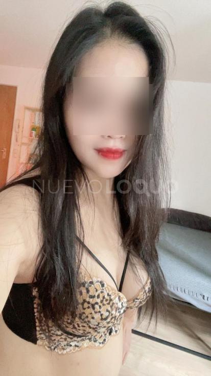 NuevoLoquo2
