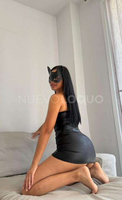 NuevoLoquo3