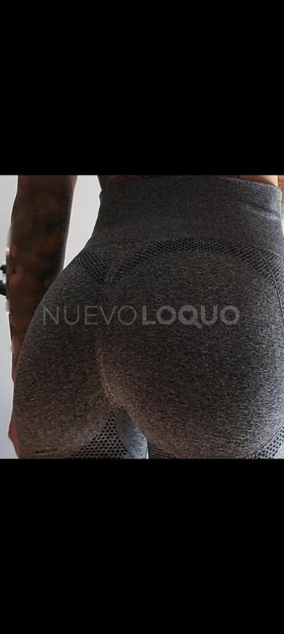 NuevoLoquo3