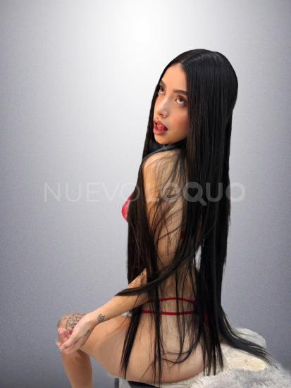 NuevoLoquo5