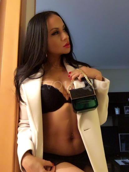 NuevoLoquo3