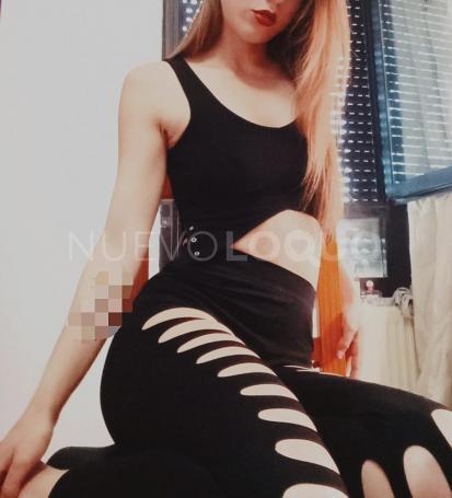 NuevoLoquo1