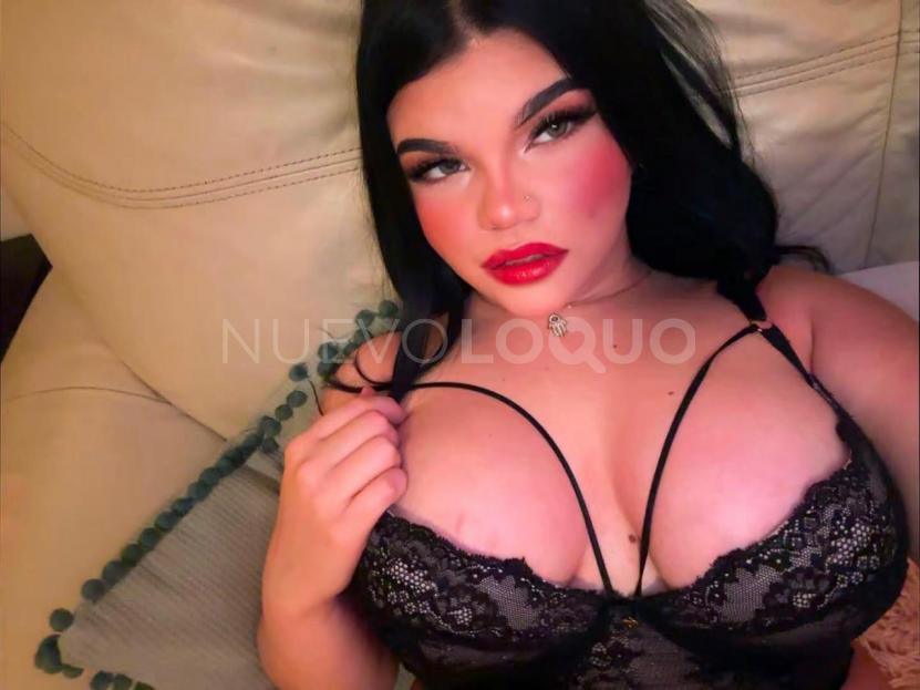 NuevoLoquo2