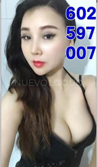 NuevoLoquo2