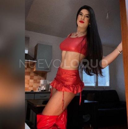 NuevoLoquo2