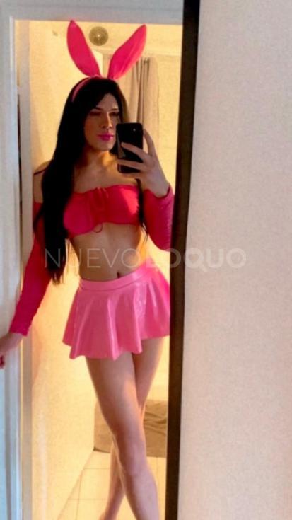 NuevoLoquo3