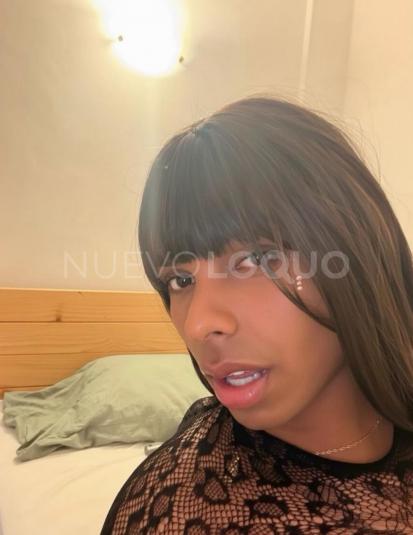 NuevoLoquo3
