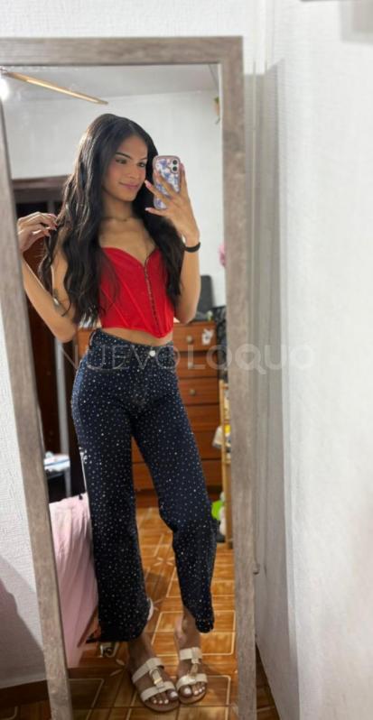 NuevoLoquo2