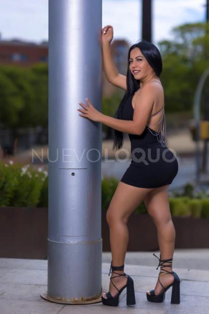 NuevoLoquo3