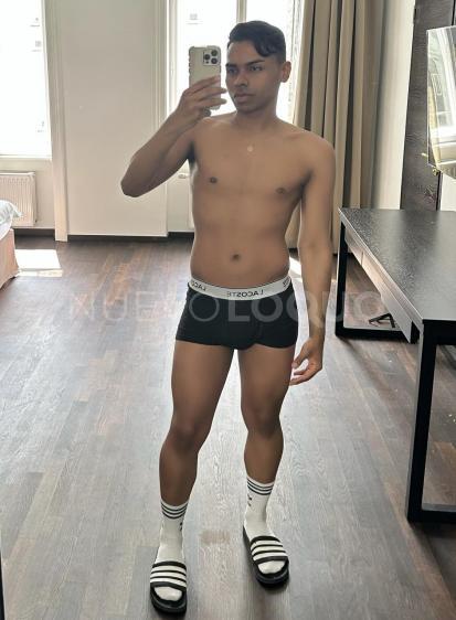 NuevoLoquo3