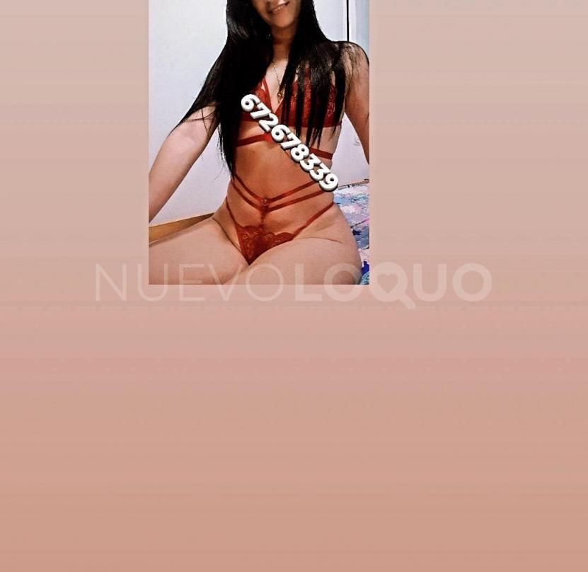 NuevoLoquo3