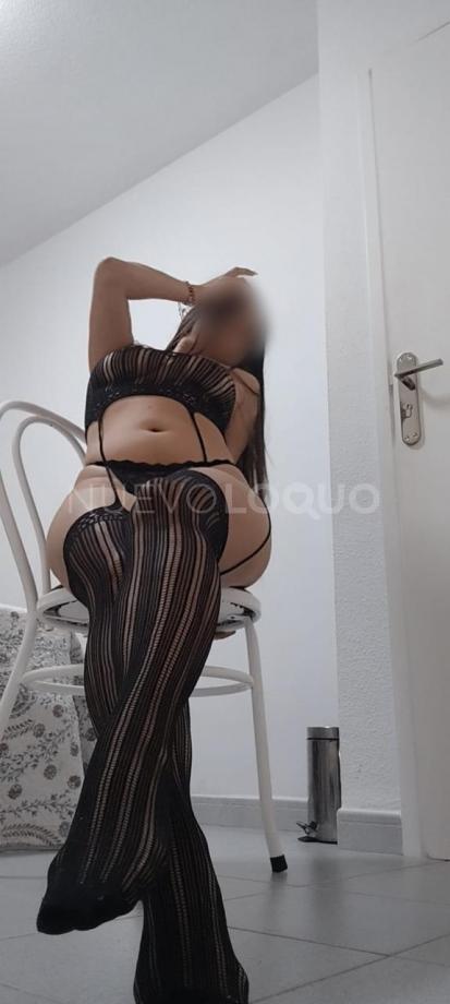 NuevoLoquo3