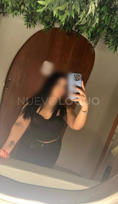 NuevoLoquo3