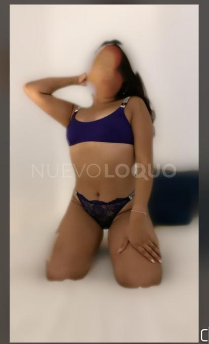 NuevoLoquo3