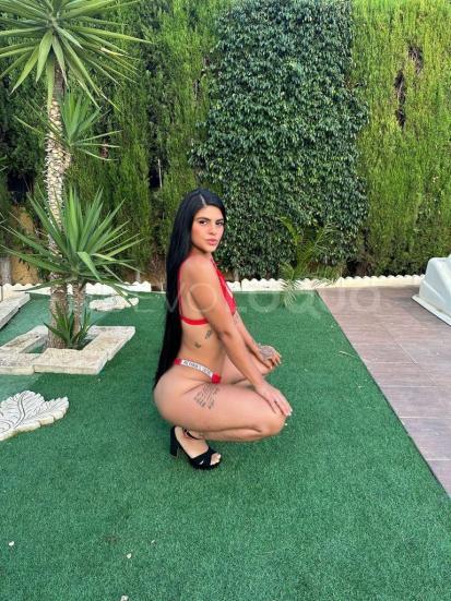 NuevoLoquo2