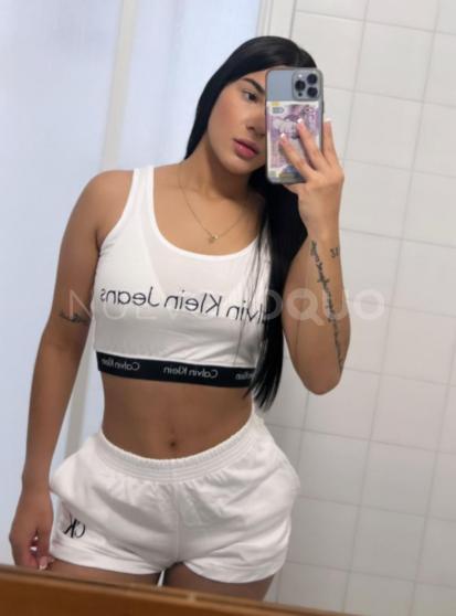 NuevoLoquo3