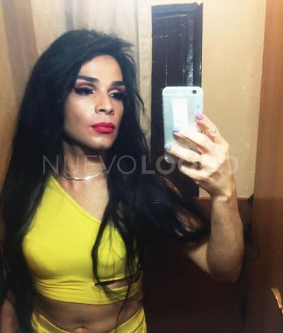 NuevoLoquo1