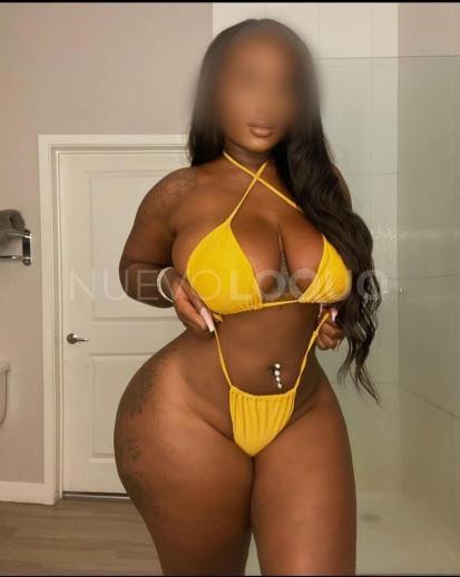 NuevoLoquo3