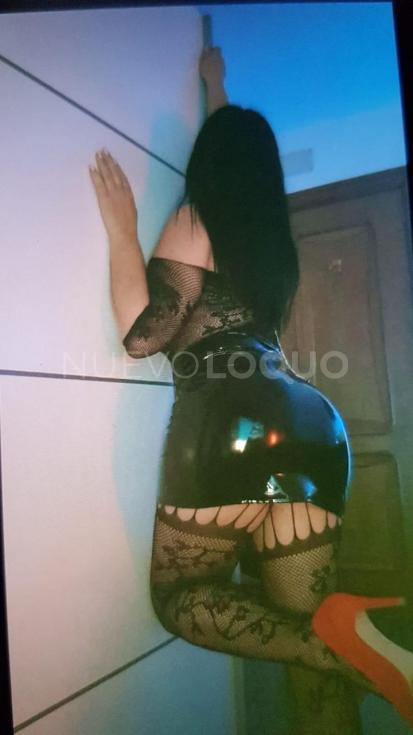 NuevoLoquo5