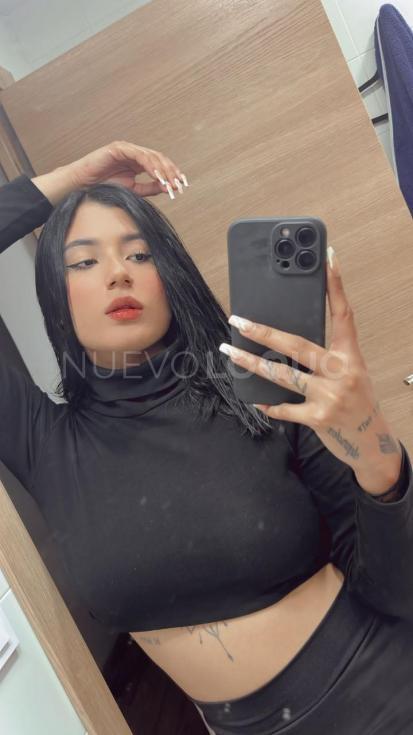 NuevoLoquo3