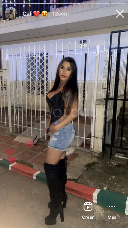 NuevoLoquo2