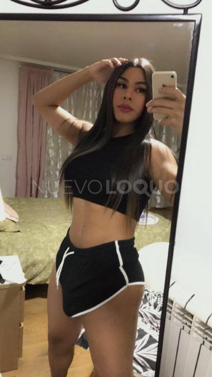 NuevoLoquo3