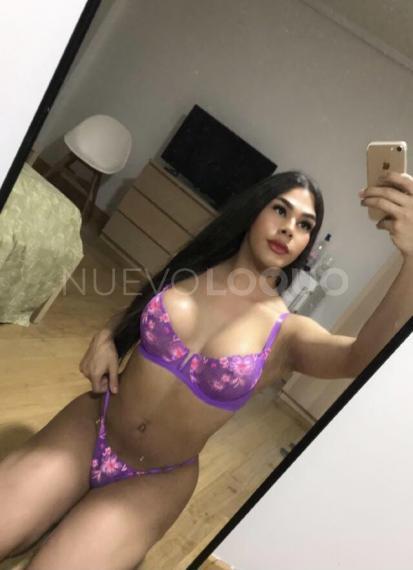 NuevoLoquo5