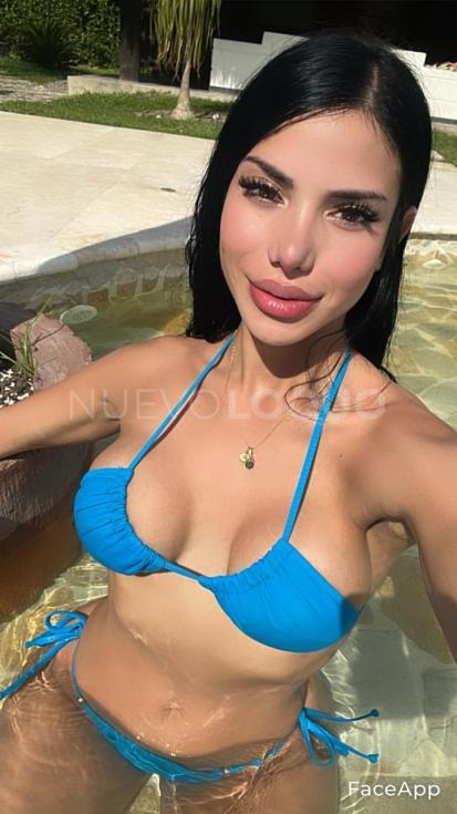 NuevoLoquo2