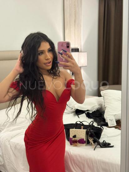 NuevoLoquo2