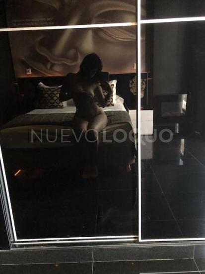 NuevoLoquo5