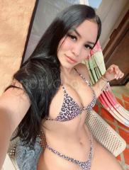 Novedad hermosa morena