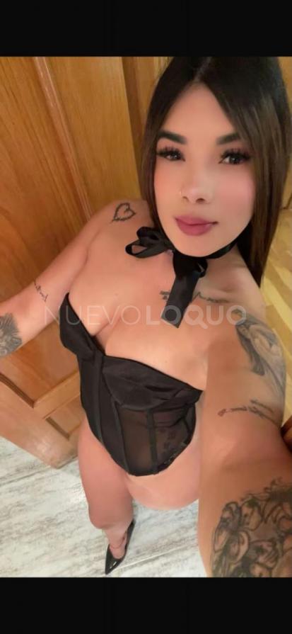 NuevoLoquo3