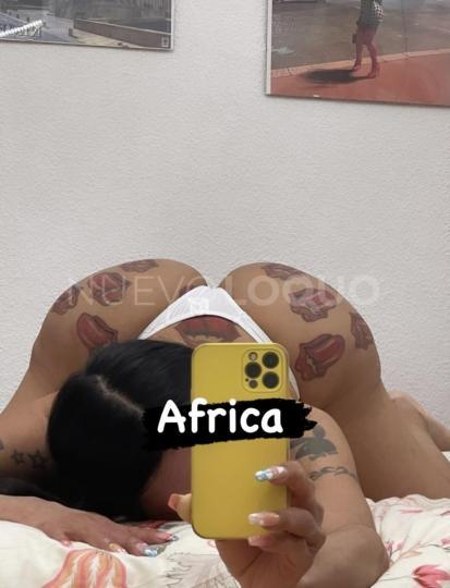 NuevoLoquo2