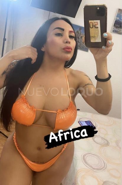 NuevoLoquo3