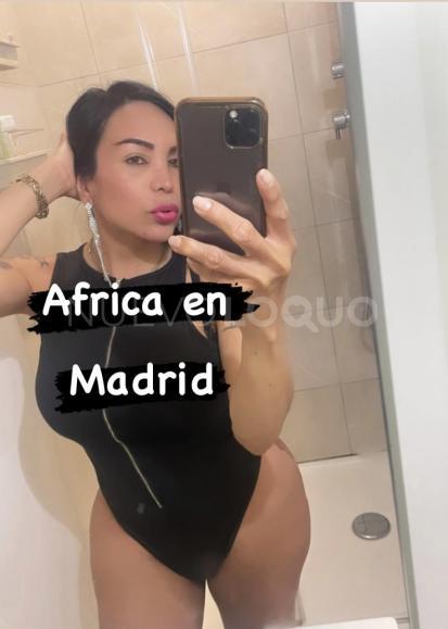 NuevoLoquo5