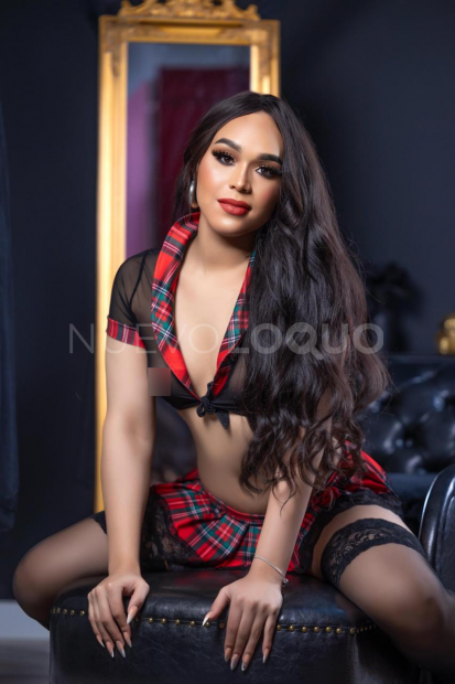NuevoLoquo3
