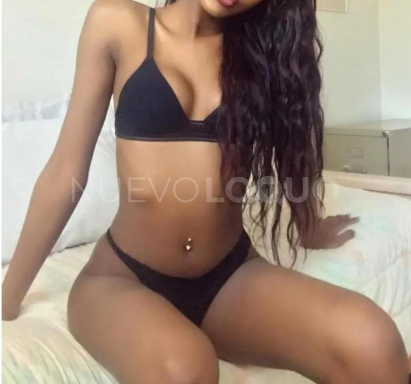 NuevoLoquo2