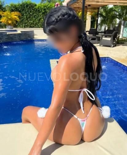 NuevoLoquo2
