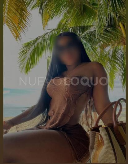 NuevoLoquo3