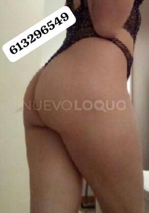 NuevoLoquo2