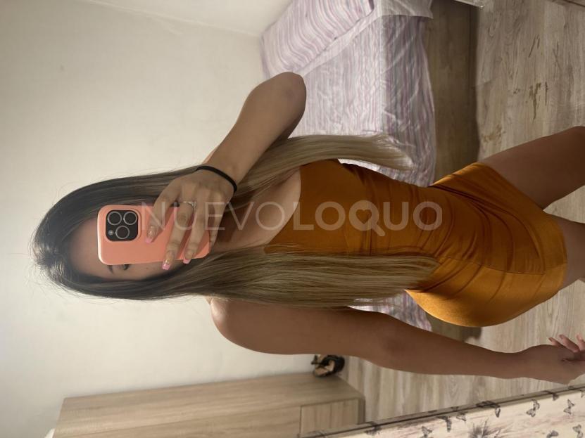 NuevoLoquo4