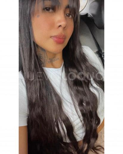 NuevoLoquo2